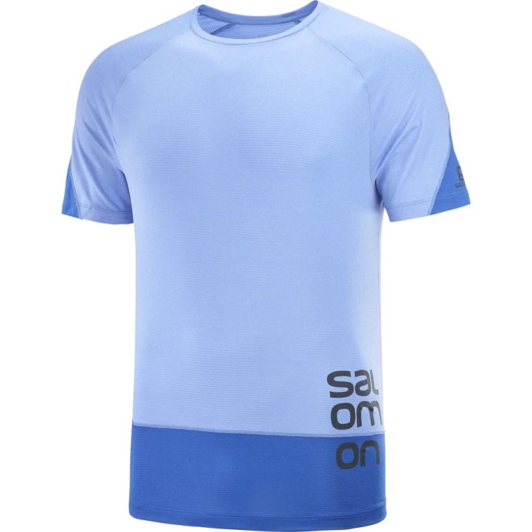 Camiseta Salomon Cross Run Gráficas Curta Sleeve Masculino Azuis | PT L35829